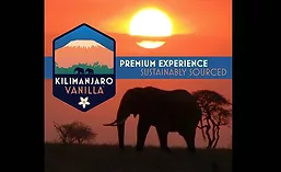 KilamanjaroVanilla_900