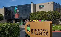IntelligentBlends_900 IntelligentBlends_900