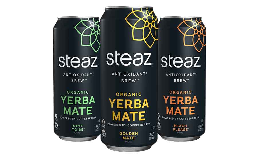 Steaz Antioxidant Brew Yerba Mate, 2021-02-22
