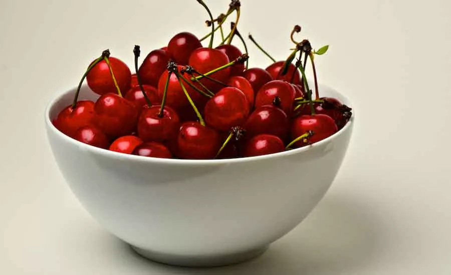 Tart_Cherries_2021_900