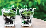 Gold-Coast-Image-for-Hard-Seltzer-PR