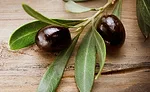 FrutaromIFF_OliveLeaf