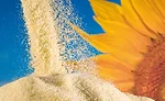 Sternchemie_B_21_900