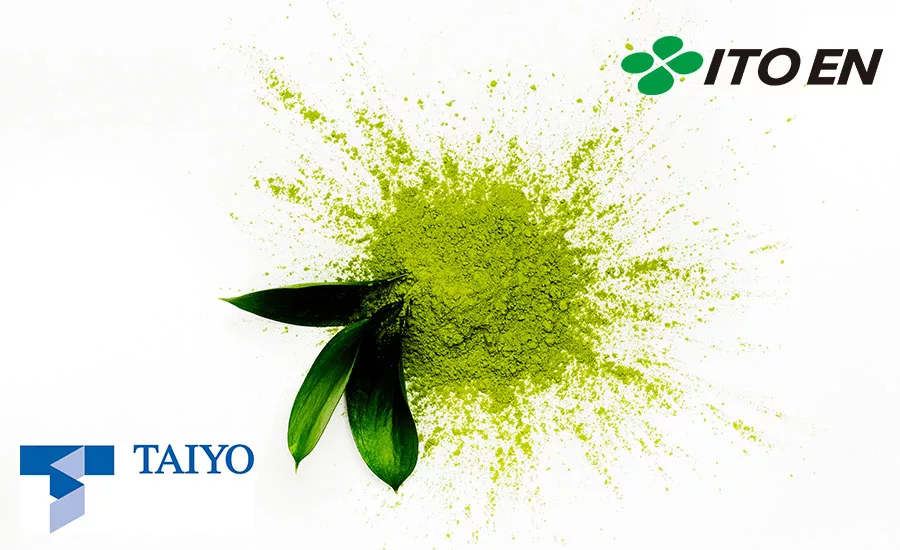 ItoEn_Taiyo_Matcha_900
