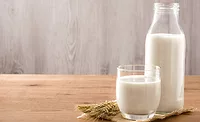 Planteneers_HybridMilk_900