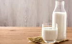 Planteneers_HybridMilk_900