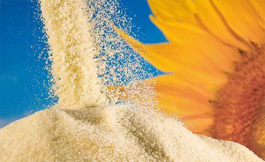 Sternchemie_Sunflower_Lecithin_900.jpg