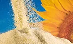 Sternchemie_Sunflower_Lecithin_900.jpg