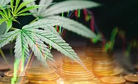 Marijuana Leaves and Gold Coins
