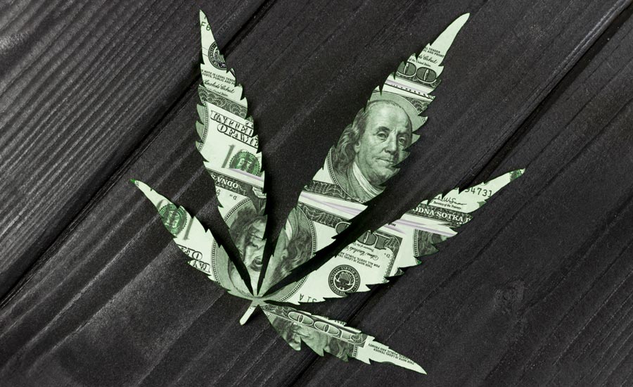 Marijuana Leaf Dollar Bill Cut-out