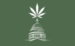 Capitol Building Topped With Marijuana Leaf
