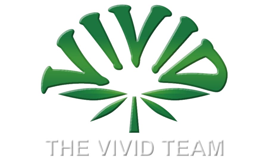 The Vivid Team Logo