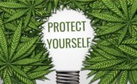 Protect Yourself Lightbulb in Cannabis Leaves