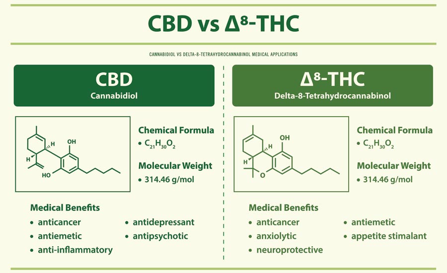 CBD vs. Delta-8-THC