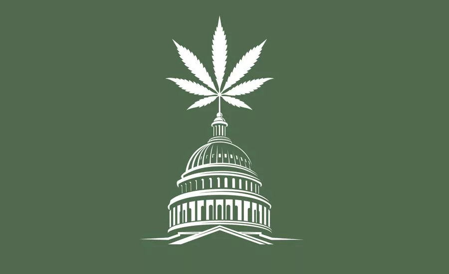 Cannabis Law
