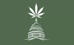 Cannabis Law