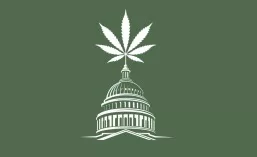 Cannabis Law