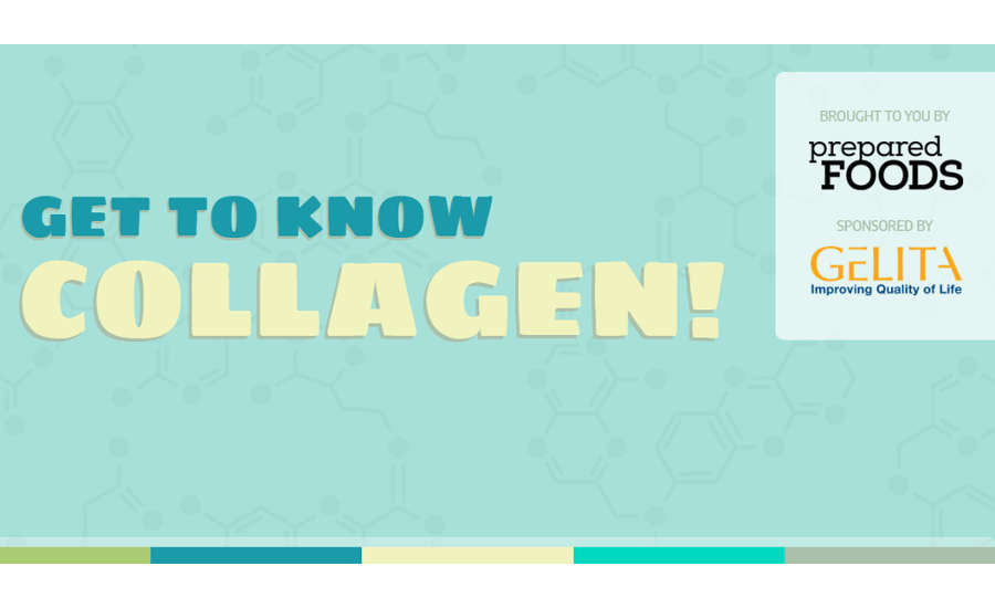 Get to Know Collagen! Interactive Infographic