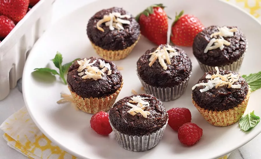 RaisinCocoaBites