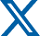 X logo icon