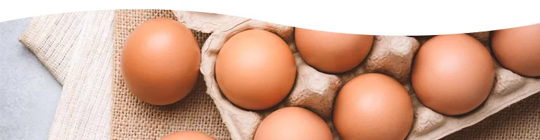 Carton of Chicken Eggs
