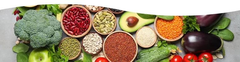 Array of Plant Based Foods